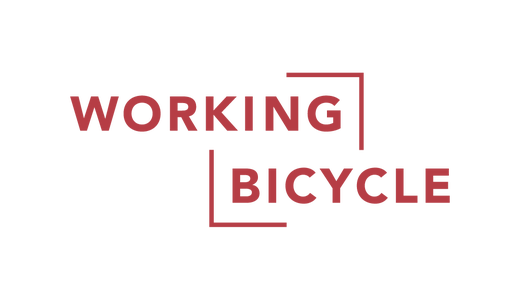 Praktikum Sales Management (w/m/d) 12 Monate - Working Bicycle AG - Logo