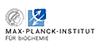 Max-Planck-Institut für Biochemie - Logo