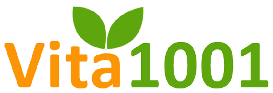Betriebswirtschaft - Vita1001 - Logo