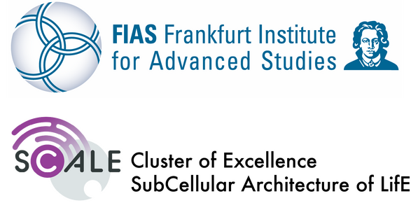 Frankfurt Institute for Advanced Studies & Cluster of Excellence SCALE - Logo