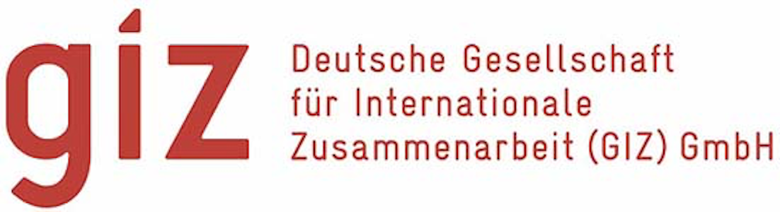 Berater*in neue Impfstoffe/pharmazeutische Regulierung in Afrika - Deutsche Gesellschaft für Internationale Zusammenarbeit GIZ GmbH - Logo