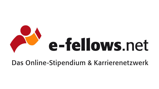 e-fellows.net GmbH & Co. KG - Logo