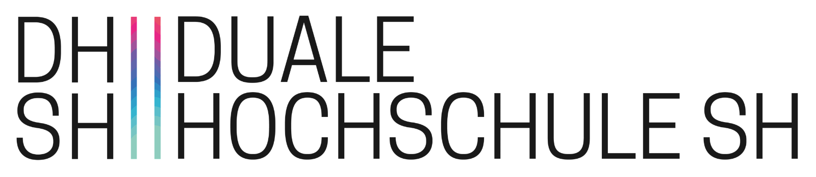 Professur Allgemeine Betriebswirtschaftslehre mit dem Schwerpunkt “Management im Gesundheitswesen“  - Duale Hochschule Schleswig-Holstein - Logo