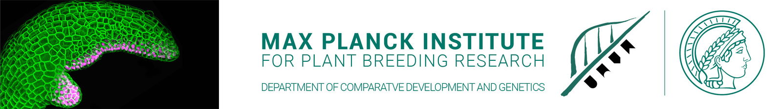 Max-Planck-Gesellschaft zur Förderung der Wissenschaften e.V. - Logo