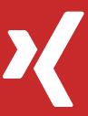 logo xing