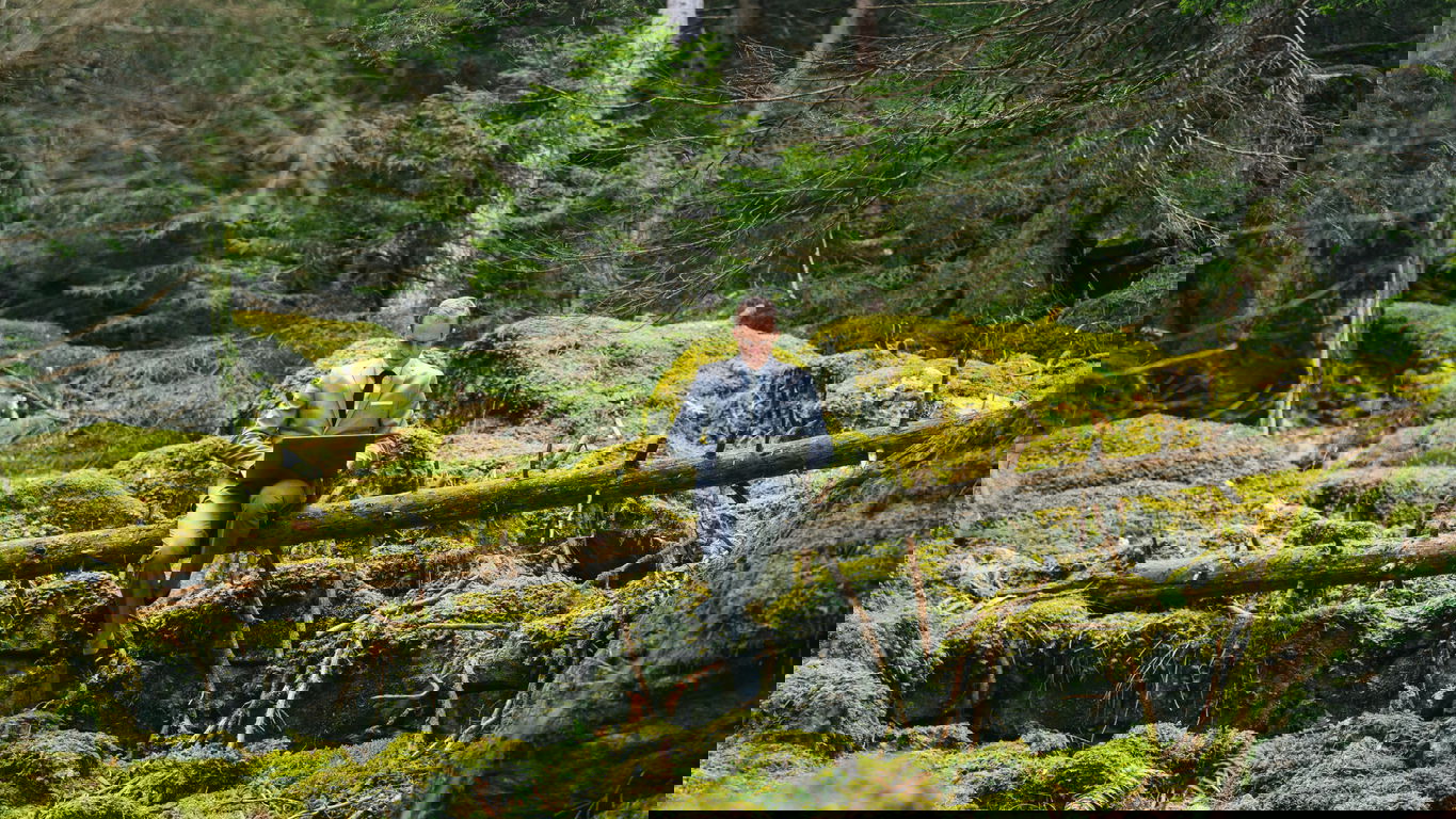 Berufe Umweltschutz_foto AscentXmedia_iStock-1290321748.jpg Berufe im Umweltschutz: Ein Mann mit Laptop im Wald