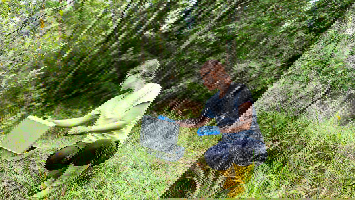 biologie-bewerbung.jpg Eine Biologin bei einer Feldstudie im Wald