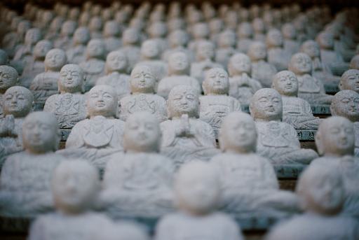 buddha-statuen-symbolbild-koepfe-der-wissenschaft-.png Buddha Statuen Symbolbild Koepfe der Wissenschaft