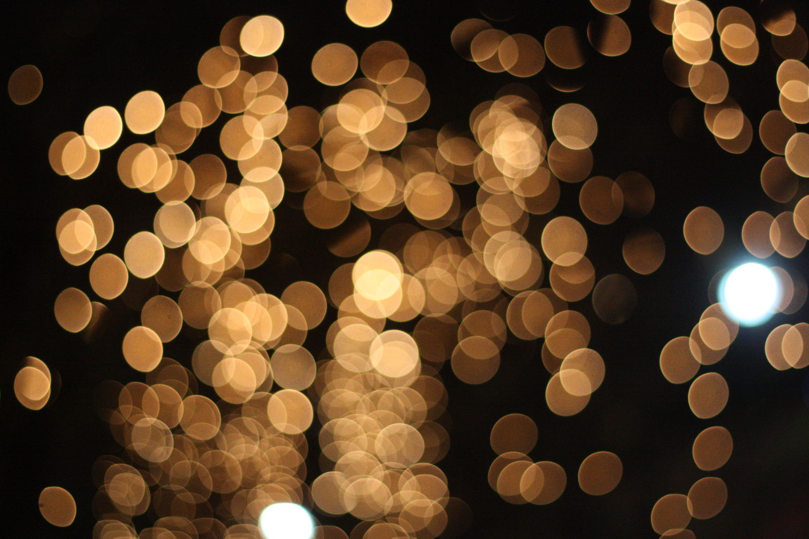 Goldregen Symbolbild Wirtschaftsinformatik Gehalt