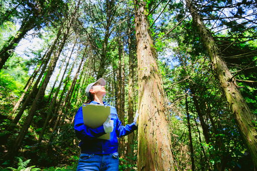 Green jobs_foto bee32_iStock-1129048356.jpg Arbeiten im Bereich Umweltschutz und Nachhaltigkeit