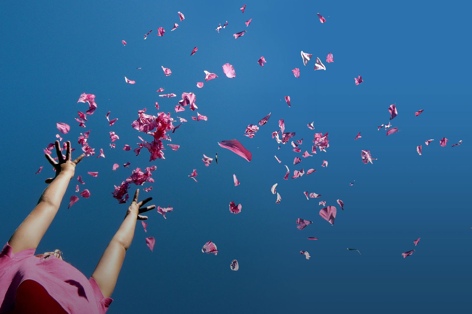 Habilitation Blueten