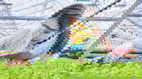 postdoc-drittmittel.jpg Eine asiatische Postdoc-Biologin untersucht Pflanzen