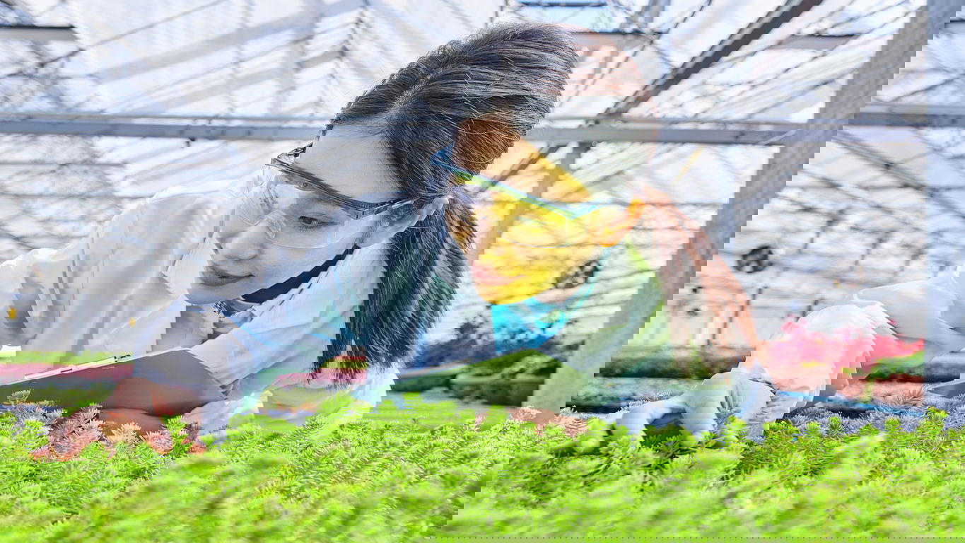 postdoc-drittmittel.jpg Eine asiatische Postdoc-Biologin untersucht Pflanzen