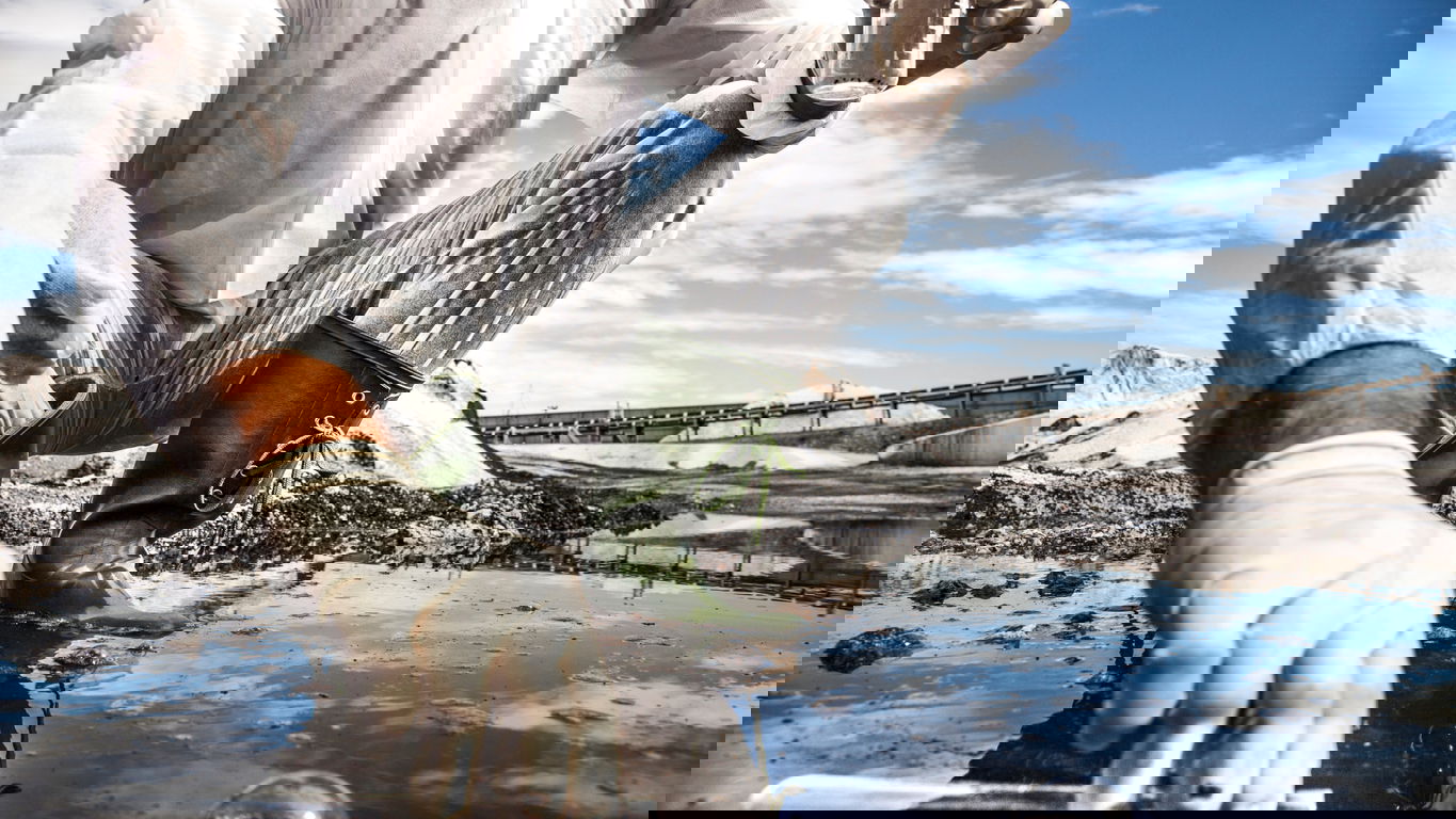 umweltwissenschaften_iStock-472885902.jpg Ein Umweltwissenschaftler nimmt eine Wasserprobe an einem Gewässer